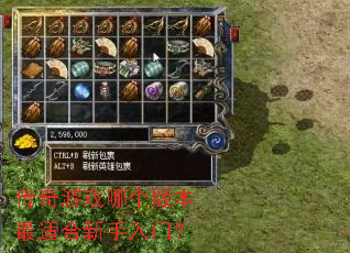 ������Ϸ�ĸ��汾���ʺ��������ţ�