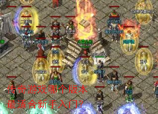 ������Ϸ�ĸ��汾���ʺ��������ţ�