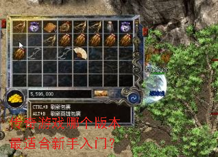 ������Ϸ�ĸ��汾���ʺ��������ţ�