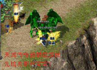 天城传奇后期应该优先培养哪些宝宝? 天城传奇后期应该优先培养哪些宝宝?