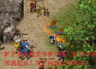新开迷失超变传奇私服?新手如何快速起步?常见问题如何解决? 新开迷失超变传奇私服?新手如何快速起步?常见问题如何解决?