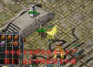 ����������ο��ٳ�Ϊ���°�������ݹ����ؼ�ȫ֪��