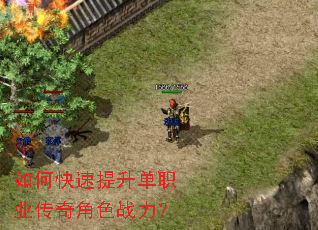 ��ο���������ְҵ�����ɫս����