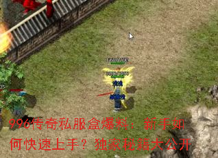 996����˽���б��ϣ�������ο������֣������ؼ��󹫿�