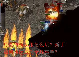 月灵传奇私服怎么玩?新手如何快速成为全服高手? 月灵传奇私服怎么玩?新手如何快速成为全服高手?