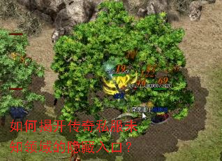 ��νҿ�����˽��δ֪�����������ڣ�