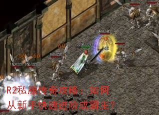 R2˽�����湥�ԣ���δ����ֿ��ٽ��׳ɰ�����