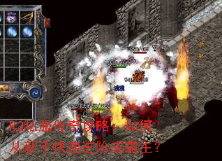 R2˽�����湥�ԣ���δ����ֿ��ٽ��׳ɰ�����