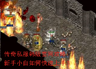 传奇私服韩版官网攻略:新手小白如何快速上手? 传奇私服韩版官网攻略:新手小白如何快速上手?