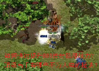 ��ο�������888����˽��ս����������������Щ��Ϊ��֪���ؾ���