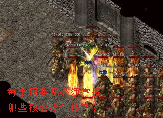 ÿ��ְҵ������������Щ���Ĳ������ɣ�