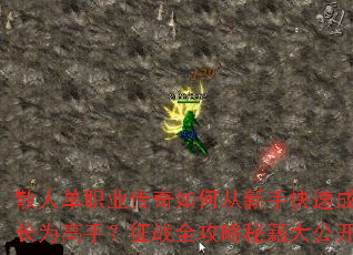 ɢ�˵�ְҵ������δ����ֿ��ٳɳ�Ϊ���֣���սȫ�����ؼ��󹫿�