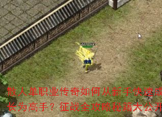 散人单职业传奇如何从新手快速成长为高手?征战全攻略秘籍大公开 散人单职业传奇如何从新手快速成长为高手?征战全攻略秘籍大公开