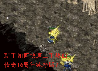 ������ο���������Ѫ����16���괿���棿