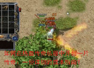 如何在热血传奇私服中开创一片传奇:一份详细的成本指南? 如何在热血传奇私服中开创一片传奇:一份详细的成本指南?