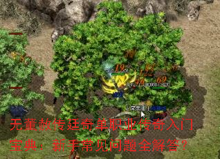 无董赦传廷奇单职业传奇入门宝典:新手常见问题全解答? 无董赦传廷奇单职业传奇入门宝典:新手常见问题全解答?