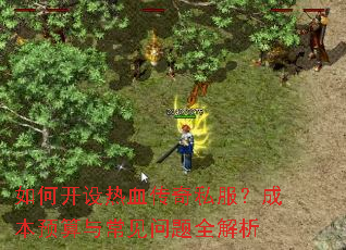 如何开设热血传奇私服?成本预算与常见问题全解析 如何开设热血传奇私服?成本预算与常见问题全解析