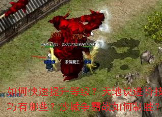 ��ο��������ȼ�����ؾ����׼�������Щ��ɳ������ս�����ʤ��