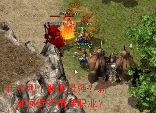 �����ĸ�ְҵ��ǿ���������ѡ�����ְҵ��