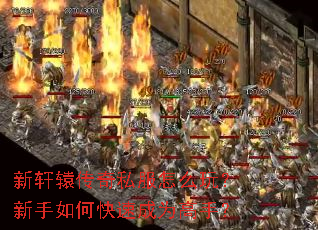 ����ԯ����˽����ô�棿������ο��ٳ�Ϊ���֣�