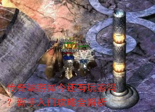 ������������������������Ź���ȫ����