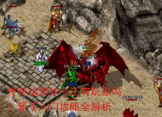 ������������������������Ź���ȫ����