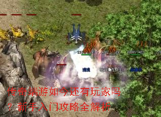 ������������������������Ź���ȫ����