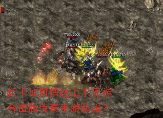 ������ο�������Ԫ��ϻ��洫������˽����