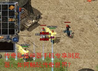 ����˽�������ֻ�ר�����������γ��洫�����磿