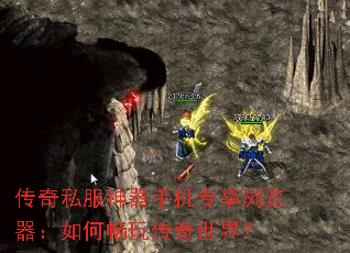 ����˽�������ֻ�ר�����������γ��洫�����磿