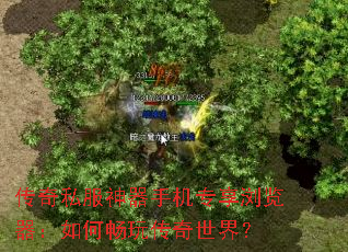 ����˽�������ֻ�ר�����������γ��洫�����磿