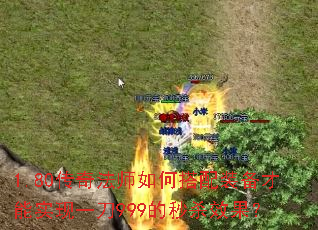 1.80���淨ʦ��δ���װ������ʵ��һ��999����ɱЧ����