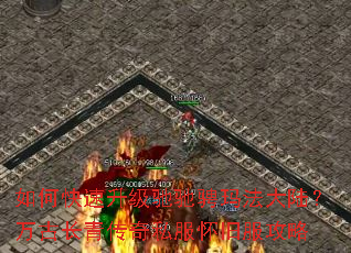 ��ο��������۳۳��귨��½����ų��ഫ��˽�����ɷ�����