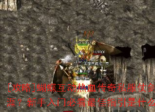 [����]����������Ѫ����˽���̽����ģ��������űؿ����ָ����ʲô��