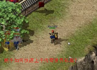 ������ο������ִ�������˽����