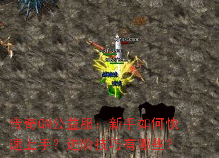 ����GM�������������ο������֣����׼�������Щ��