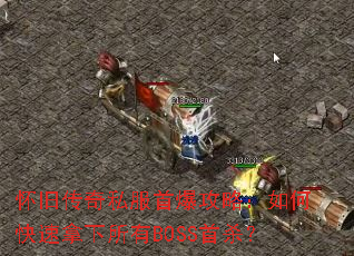 ���ɴ���˽���ױ����ԣ���ο�����������BOSS��ɱ��