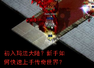 �����귨��½��������ο������ִ������磿