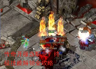 ���濪��ѡְҵ���ռ����ܽ���ȫ����