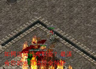 ���ѡ����ְҵ�����ʺ���ķ�չ·��ȫ����