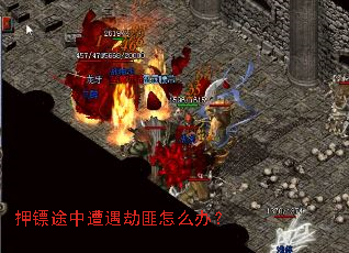 Ѻ��;�������ٷ���ô�죿
