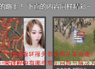 ����˽��SF��������δ�������Ӫ����������Щ������������������