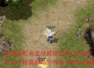 如何搭配合击技能横扫玛法大陆?有哪些必学秘籍能助你缔造传奇私服霸业? 如何搭配合击技能横扫玛法大陆?有哪些必学秘籍能助你缔造传奇私服霸业?