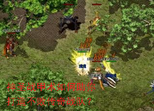 ��ʥս�������������첻�ܴ���ս�ӣ�