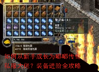 ��δ����ֳɳ�Ϊ�ུ���˽�����У�װ������ȫ����