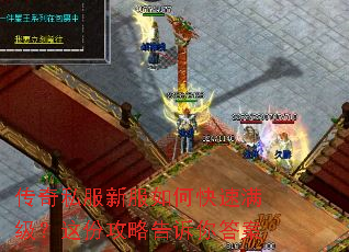 传奇私服新服如何快速满级?这份攻略告诉你答案 传奇私服新服如何快速满级?这份攻略告诉你答案