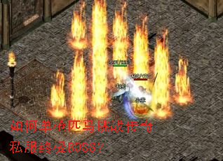 ��ε�ǹƥ����ս����˽���ռ�BOSS��