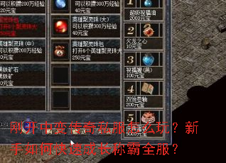 刚开中变传奇私服怎么玩?新手如何快速成长称霸全服? 刚开中变传奇私服怎么玩?新手如何快速成长称霸全服?