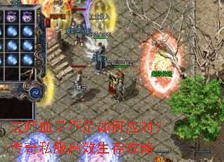 ��ʦѪ���������Ӧ�ԣ�����˽����Ч���湥��