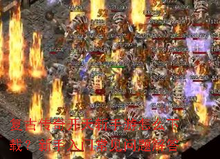 ���Ŵ��濪��ն������ô���أ��������ų���������